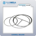 Heat Exchangers Double Jacket Gasket/Djg Sunwell